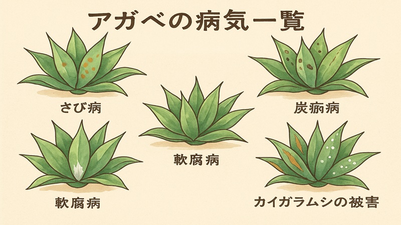 病気一覧と主な種類