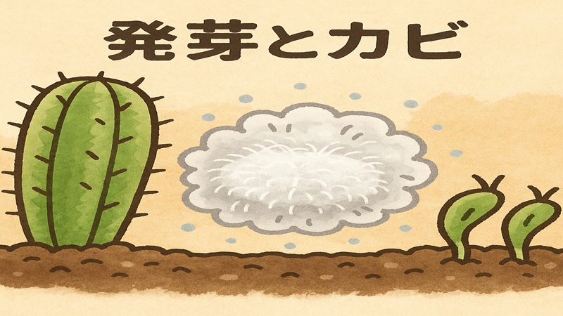 発芽とカビの関係性